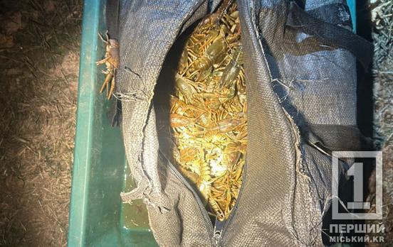 Пірнали з аквалангом за раками: у Криворізькому районі двоє браконьєрів назбиткували на понад 2,8 млн гривень