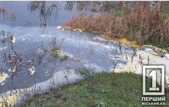 Понад 9 мільйонів збитків: у Кривому Розі невідомі отруїли річку Саксагань стічними водами