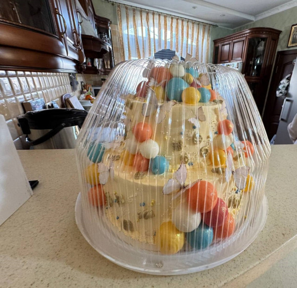 У Кривому Розі продовжують роботу, щоб кожна дитина для повного та гармонійного розвитку зростала в сімейному оточенні, в атмосфері любові, щастя та турботи6