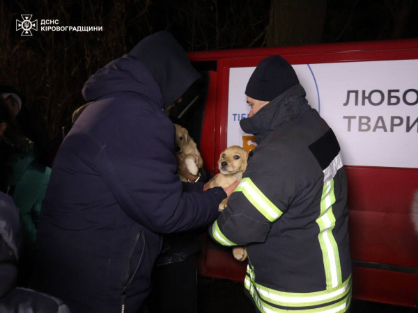 У Кропивницькому затопило притулок «Бім»: врятували сотні тварин0