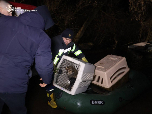 У Кропивницькому затопило притулок «Бім»: врятували сотні тварин2