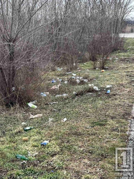 Узбіччя — не звалище: криворіжців закликають не перетворювати зупинки на смітники1