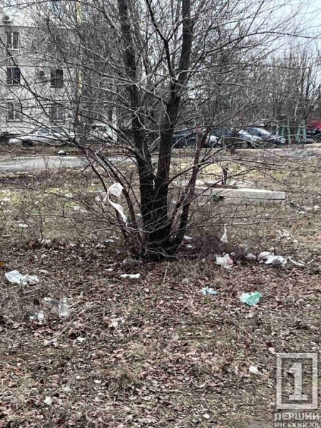 Узбіччя — не звалище: криворіжців закликають не перетворювати зупинки на смітники2