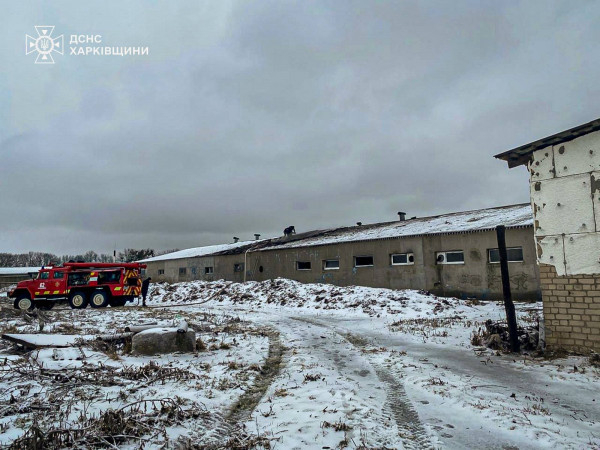 Внаслідок російської атаки на ферму у Харківській області постраждав чоловік та загинуло близько ста голів свиней2