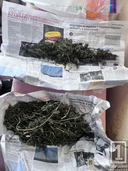 Запаси на всі випадки життя: у Нікополі поліція вилучила у чоловіка мішки коноплі3