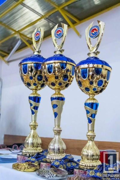 Змагальний досвід та відточені навички: криворізькі самбісти показали клас на Чемпіонаті України2