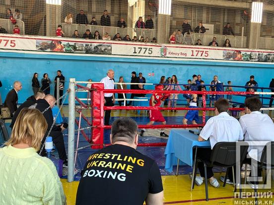 Більше сотні юних боксерів зійшлися на рингу: у Кривому Розі розіграли Кубок Саксаганського району2