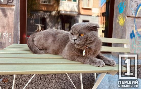 Бізнес у русі: Дніпропетровщина – серед найактивніших регіонів за релокаціями