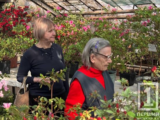 Екзотика після зими: у Кривому Розі зацвіли «райські пташки» та примхливі азалії1