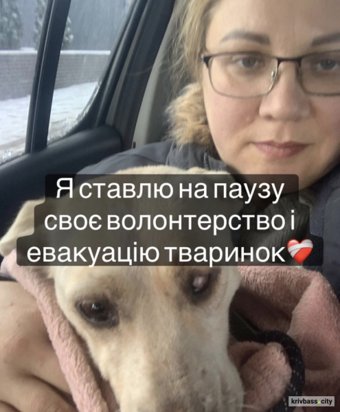 Криворізька волонтерка врятувала 500 тварин із прифронтових територій: як допомогти притулку1