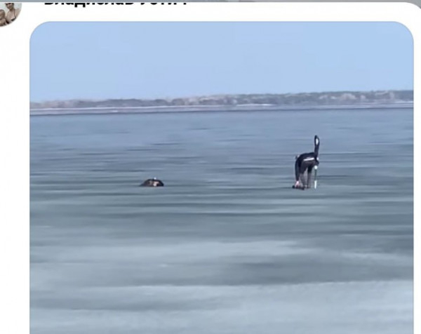 На Дніпропетровщині хлопець врятував собаку, який застряг на льоду посеред Дніпра0