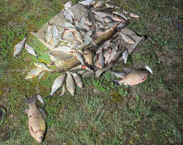 На Криворіжжі затримали браконьєрів, які завдали збитків рибному господарству на 190 тисяч гривень0