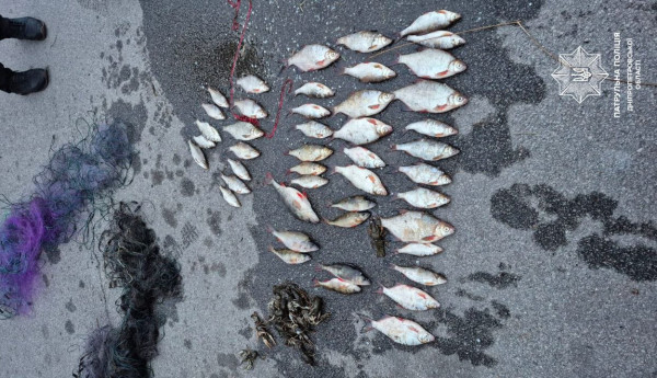 Наловили риби майже на 145 тисяч гривень збитків: на Дніпропетровщині викрили браконьєрів0