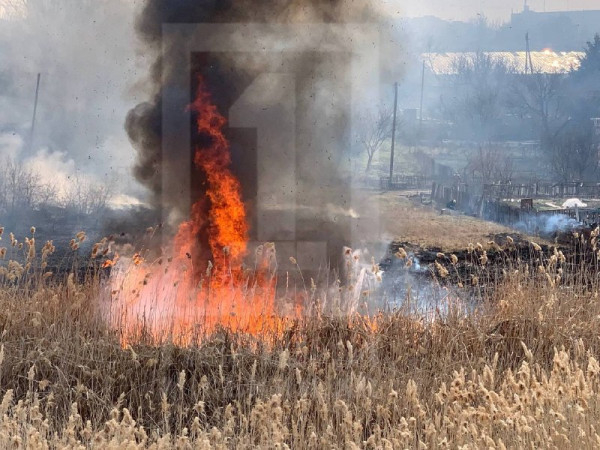 Неподалік проспекту 200-річчя Кривого Рогу масштабна пожежа: горить 2 га очерету1