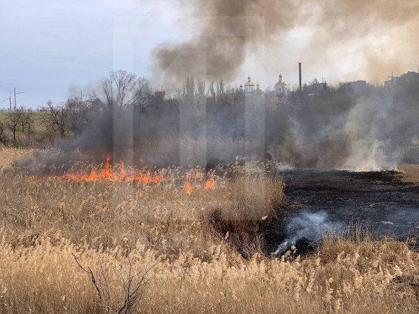 Неподалік проспекту 200-річчя Кривого Рогу масштабна пожежа: горить 2 га очерету3