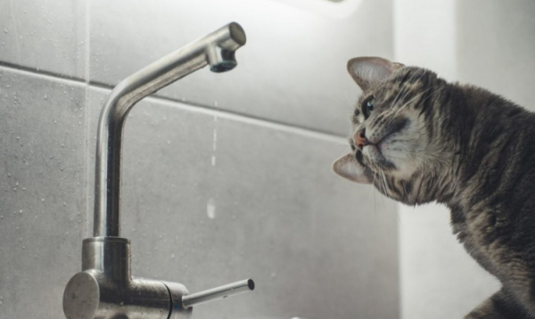 Вода - фото ілюстративне з відкритих джерел