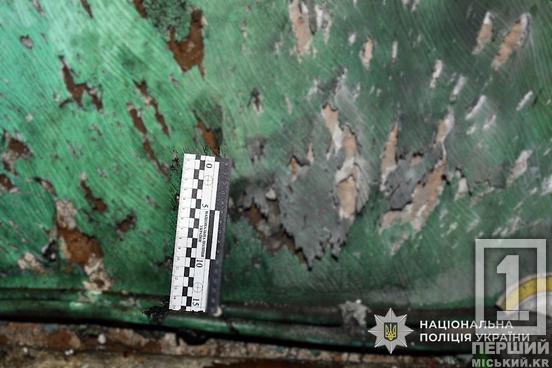 Спершу підірвав, потім задушив: на Дніпропетровщині затримали підозрюваного у жорстокому подвійному вбивстві1