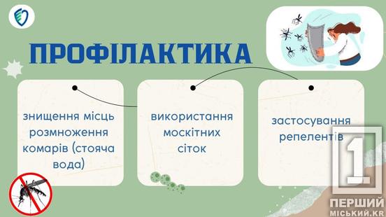 Тропічна загроза у валізі: чим небезпечна гарячка денге2