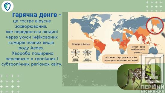 Тропічна загроза у валізі: чим небезпечна гарячка денге3