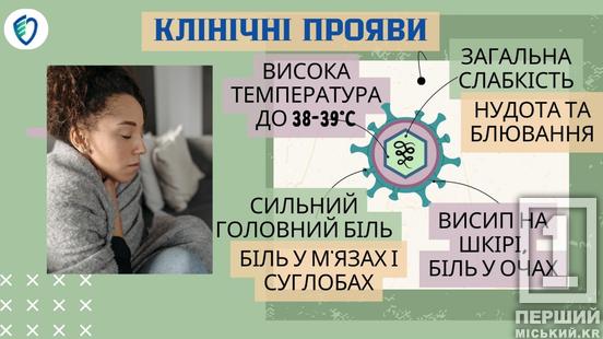 Тропічна загроза у валізі: чим небезпечна гарячка денге1