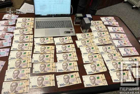 У Кривому Розі керівниця приватного ТОВ намагалася нажитися на міському бюджеті2