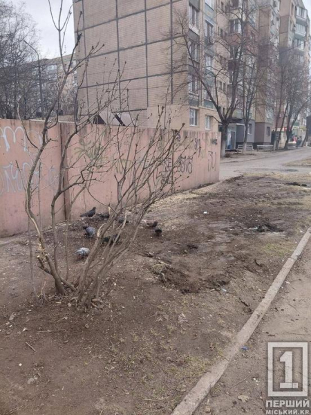 У Саксаганському районі ліквідували чергове стихійне звалище біля багатоповерхівки4