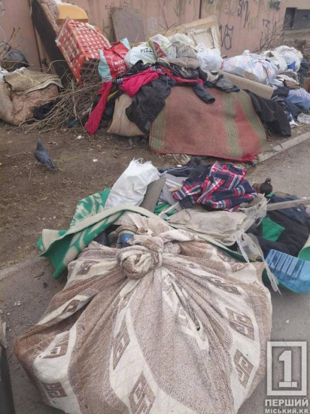 У Саксаганському районі ліквідували чергове стихійне звалище біля багатоповерхівки3