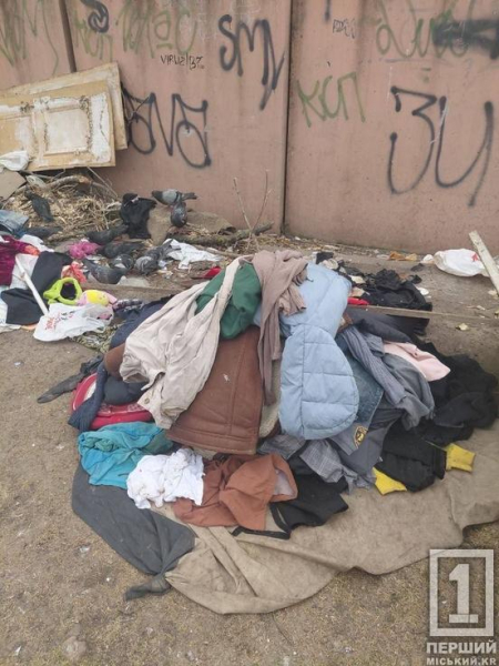 У Саксаганському районі ліквідували чергове стихійне звалище біля багатоповерхівки1