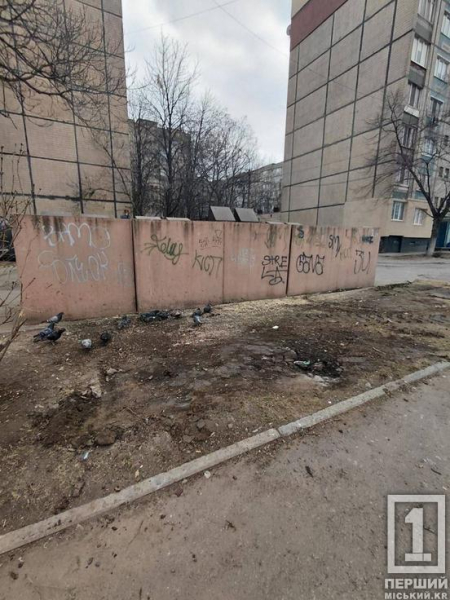 У Саксаганському районі ліквідували чергове стихійне звалище біля багатоповерхівки5