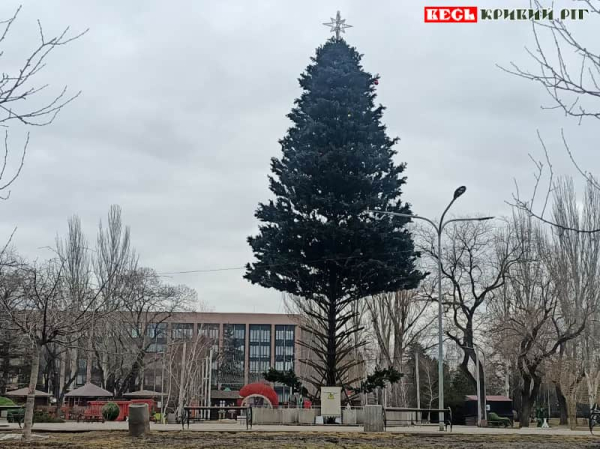 Головну ялинку Кривого Рогу прибирають в парку Героїв тільки в березні