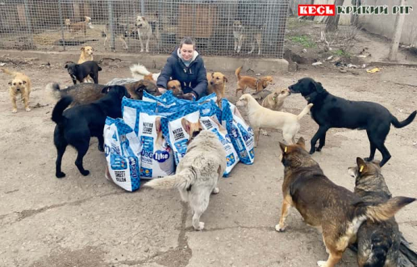Притулок на 100+ собак функціонує в Криворізькому районі