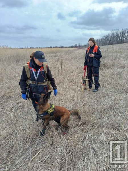 В очереті та крижаній воді: на Дніпропетровщині кінологи знайшли тіло зниклої дівчини5