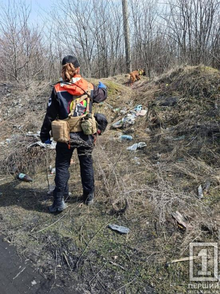 В очереті та крижаній воді: на Дніпропетровщині кінологи знайшли тіло зниклої дівчини4