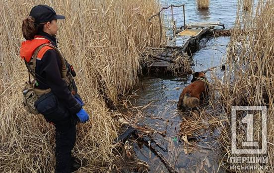 В очереті та крижаній воді: на Дніпропетровщині кінологи знайшли тіло зниклої дівчини