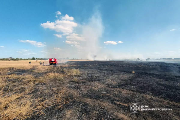 В Україні з початку року згоріло понад 93 тисячі гектарів землі0
