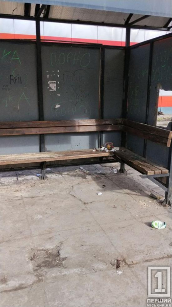 Від сховищ до звалищ: у Кривому Розі благають схаменутися тих, хто нівечить місто2