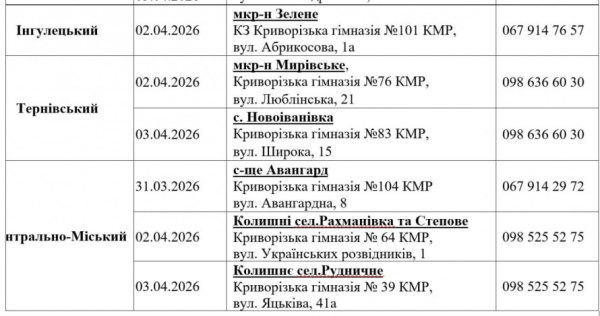 З 30 березня у Кривому Розі стартує видача продуктових наборів: хто отримає допомогу7
