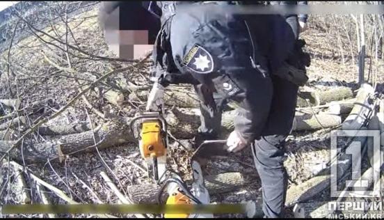 Збували ліс на Дніпропетровщині: викрили «чорних лісорубів»2