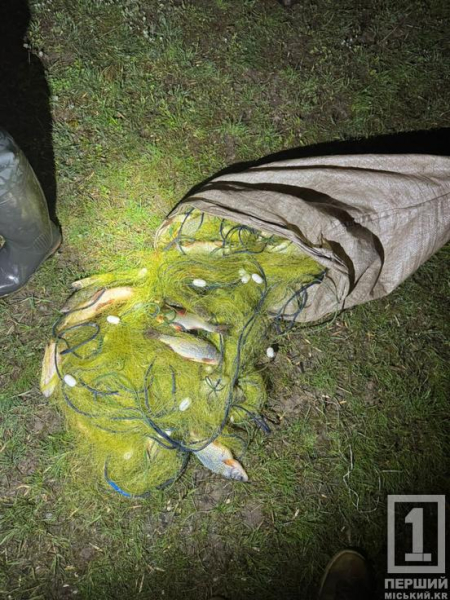 11 кілограмів риби на 190 тисяч шкоди: під Кривим Рогом затримали браконьєрів із сітками2