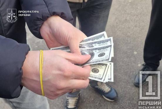 15 тисяч дол. за фікцію: у Кривому Розі судитимуть чоловіка за оборудку з відстрочкою від служби3