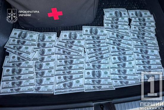 15 тисяч дол. за фікцію: у Кривому Розі судитимуть чоловіка за оборудку з відстрочкою від служби2