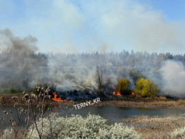 Біля Даманського у Кривому Розі спалахнув очерет