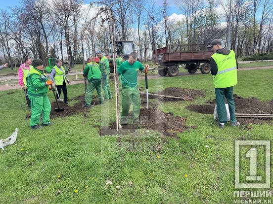 Більше затінку та яскравих барв: сквер біля шахти «Криворізька» озеленили новими деревами4