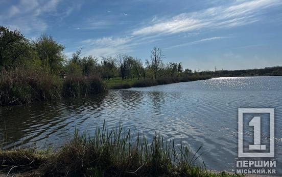 Чисті береги й узбіччя: працівники «АрселорМіттал» та молодь чепурили Кривий Ріг