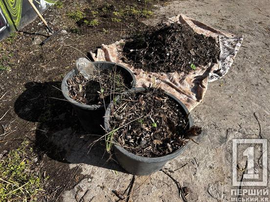 Чисті береги й узбіччя: працівники «АрселорМіттал» та молодь чепурили Кривий Ріг2