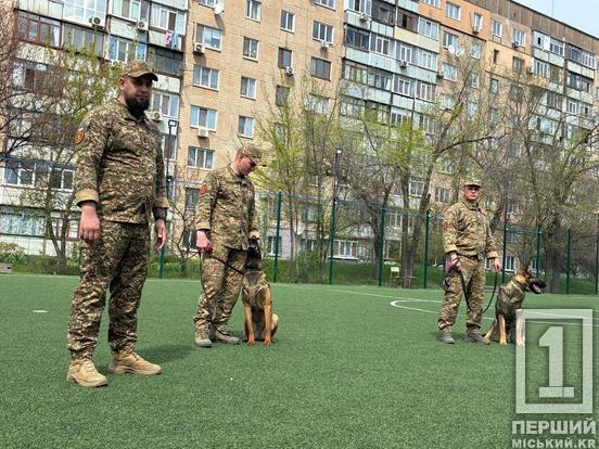 Чотирилапі захисники в гостях у школярів: у Кривому Розі нацгвардійці провели «Урок мужності»4