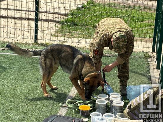 Чотирилапі захисники в гостях у школярів: у Кривому Розі нацгвардійці провели «Урок мужності»3