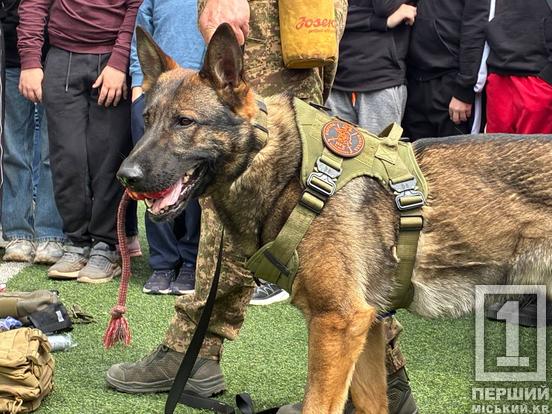 Чотирилапі захисники в гостях у школярів: у Кривому Розі нацгвардійці провели «Урок мужності»5