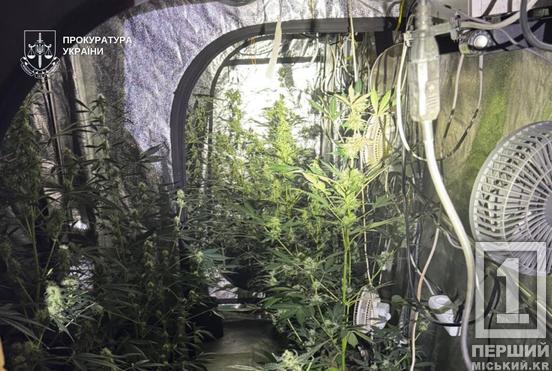 Ціла нарколабораторія у житловому будинку: на Дніпропетровщині затримали ділків, які налагодили постачання «травички»1