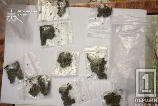 Ціла нарколабораторія у житловому будинку: на Дніпропетровщині затримали ділків, які налагодили постачання «травички»3